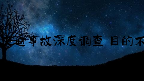 交通事故为什么会立案,黄金晶：交通事故深度调查 目的不在于打击企业而是构建交通安全